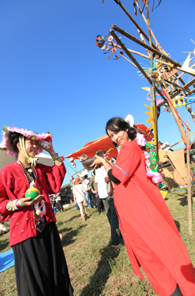 HigterFrequency p[eB[|[g