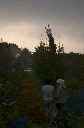 HigterFrequency p[eB[|[g