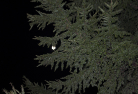 HigterFrequency p[eB[|[g