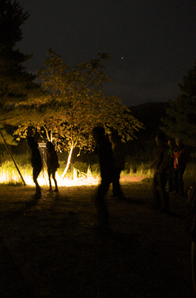 HigterFrequency p[eB[|[g