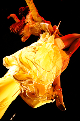 HigterFrequency p[eB[|[g