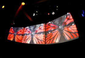 HigterFrequency p[eB[|[g