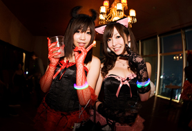 HigterFrequency p[eB[|[g