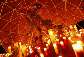 HigterFrequency p[eB[|[g