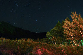 HigterFrequency p[eB[|[g