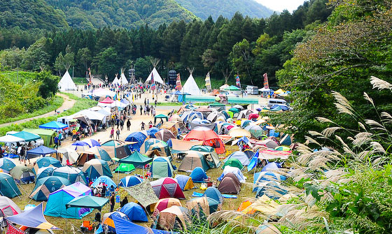 HigterFrequency p[eB[|[g