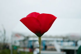 HigterFrequency p[eB[|[g