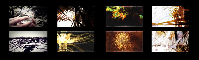 BT This Binary Universe