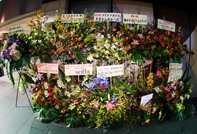 FUJI ROCK FESTIVAL 09