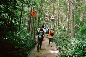 FUJI ROCK FESTIVAL 09