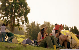 FUJI ROCK FESTIVAL 2005