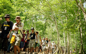FUJI ROCK FESTIVAL 2005