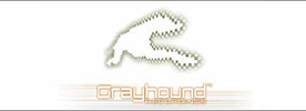 Grayhound