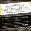 Gesaffelsteinflyer_l