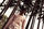 Jpgcv52013053019_s